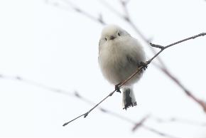 �V�}�G�i�K�@2026�N2��23���@�k�C��