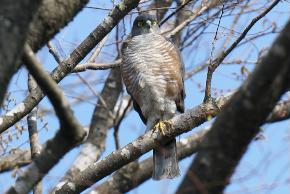 �c�~�@2026�N3��29���@��t��