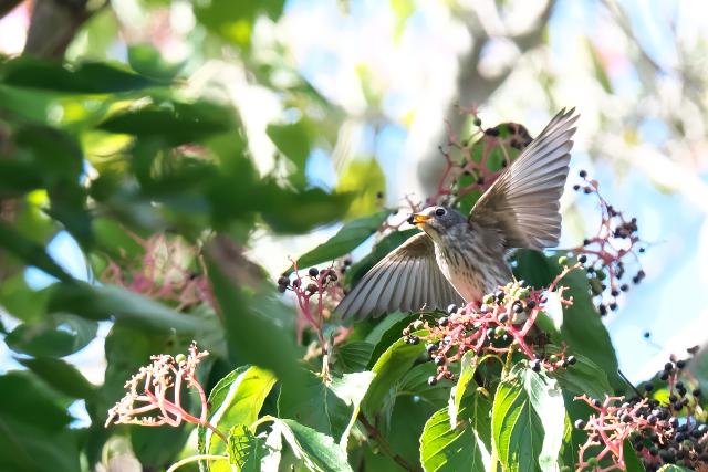 �G�]�r�^�L