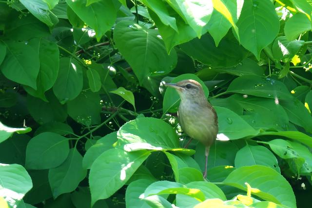 �G�]�Z���j���E