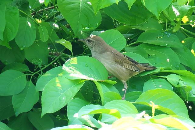 �G�]�Z���j���E