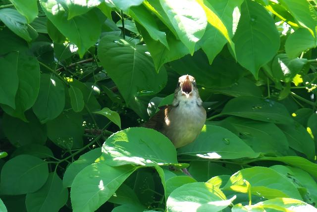 �G�]�Z���j���E