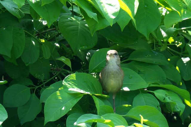 �G�]�Z���j���E