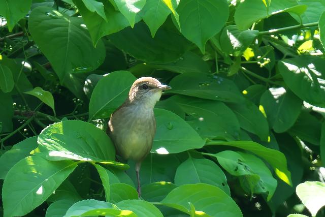 �G�]�Z���j���E