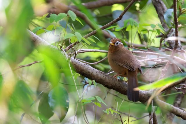 �K�r�`���E