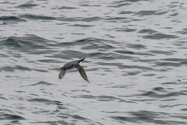 �J�������E�~�X�Y��