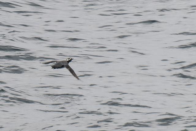 �J�������E�~�X�Y��