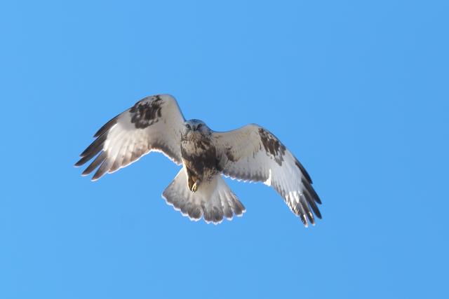 �P�A�V�m�X��