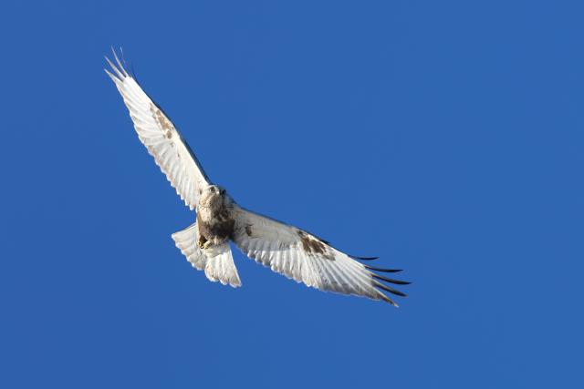 �P�A�V�m�X��