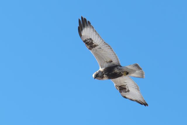 �P�A�V�m�X��