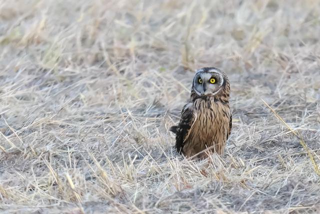 �R�~�~�Y�N