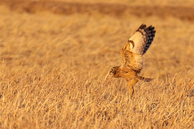 �R�~�~�Y�N