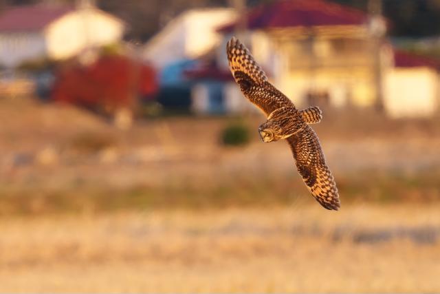 �R�~�~�Y�N