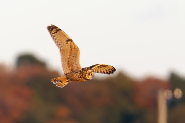 �R�~�~�Y�N