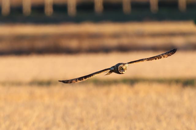 �R�~�~�Y�N