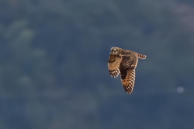 �R�~�~�Y�N