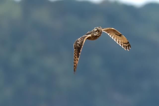 �R�~�~�Y�N