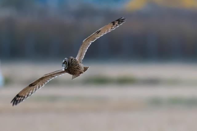 �R�~�~�Y�N