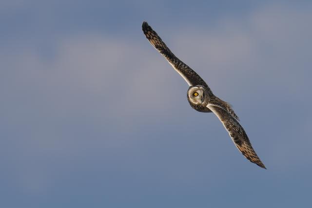 �R�~�~�Y�N