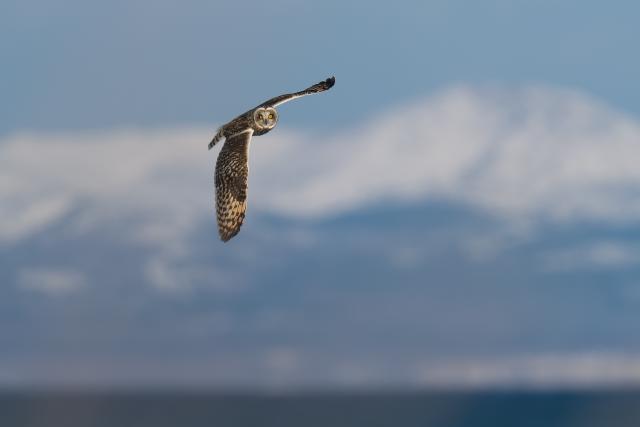 �R�~�~�Y�N