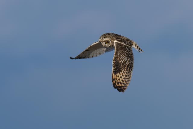 �R�~�~�Y�N