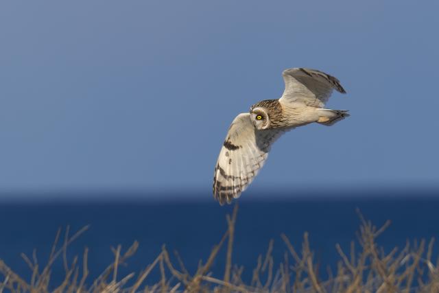 �R�~�~�Y�N