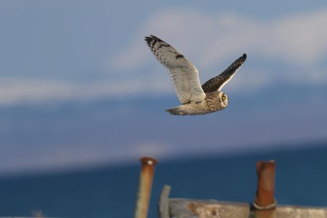 �R�~�~�Y�N