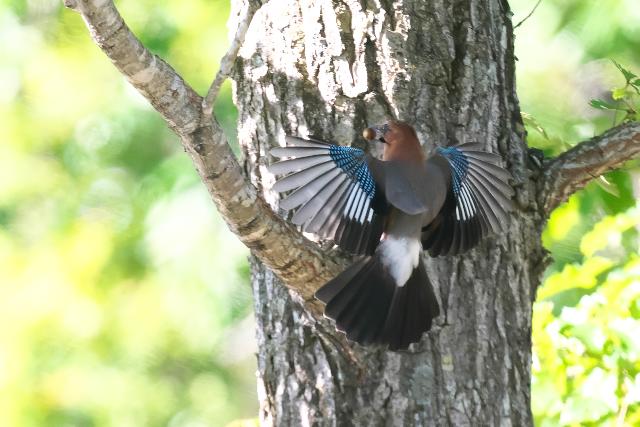 �~���}�J�P�X