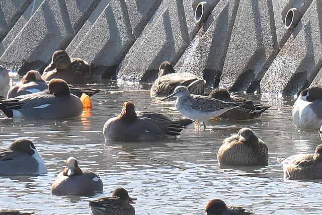 �I�I�L�A�V�V�M