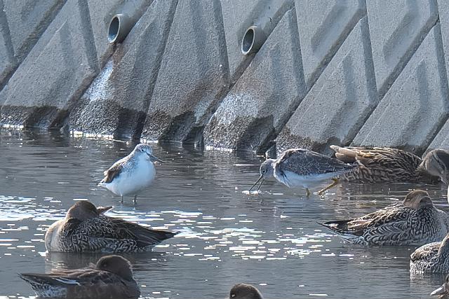 �I�I�L�A�V�V�M�i�E�j�A�A�I�A�V�V�M�i���j