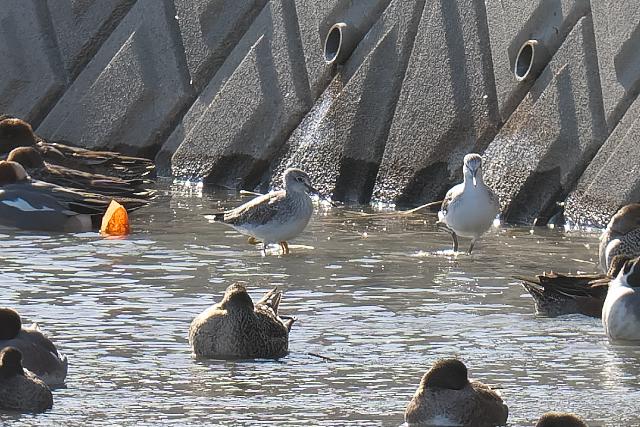 �I�I�L�A�V�V�M�i���j�A�A�I�A�V�V�M�i�E�j