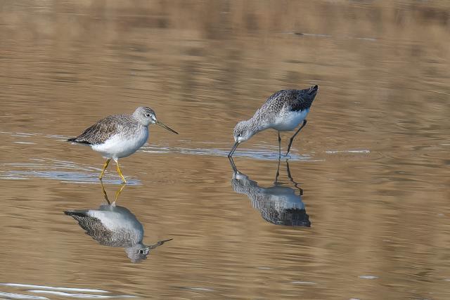 �I�I�L�A�V�V�M�i���j�A�A�I�A�V�V�M�i�E�j