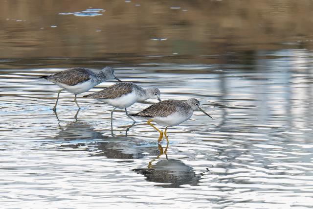 �I�I�L�A�V�V�M�i��O�j�A�A�I�A�V�V�M�i���Q�H�j