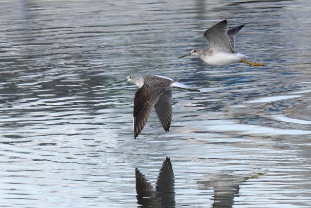 �I�I�L�A�V�V�M�i���j�A�A�I�A�V�V�M�i��O�j