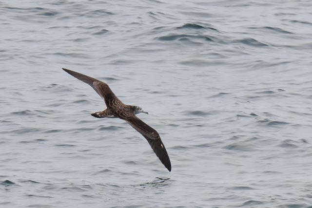 �I�I�~�Y�i�M�h��