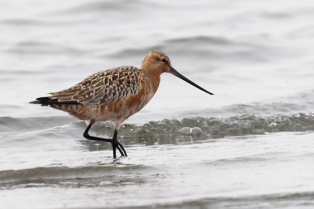 �I�I�\���n�V�V�M