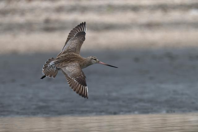 �I�I�\���n�V�V�M