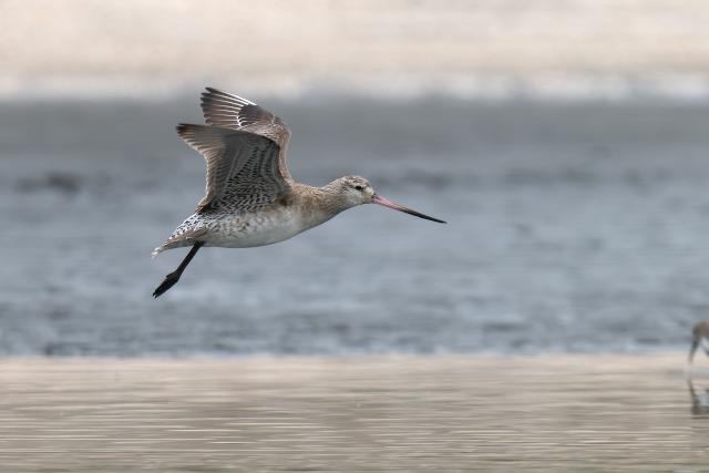 �I�I�\���n�V�V�M