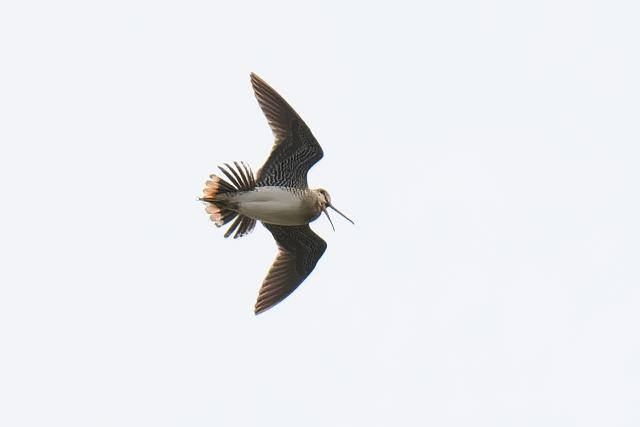 �I�I�W�V�M