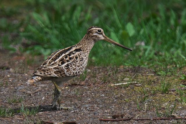 �I�I�W�V�M