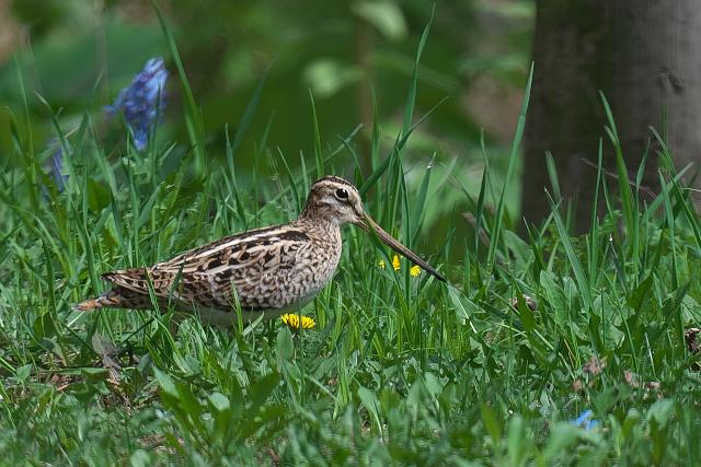 �I�I�W�V�M