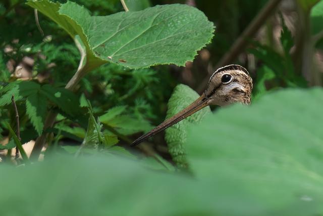 �I�I�W�V�M