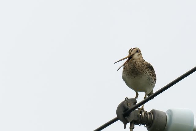 �I�I�W�V�M