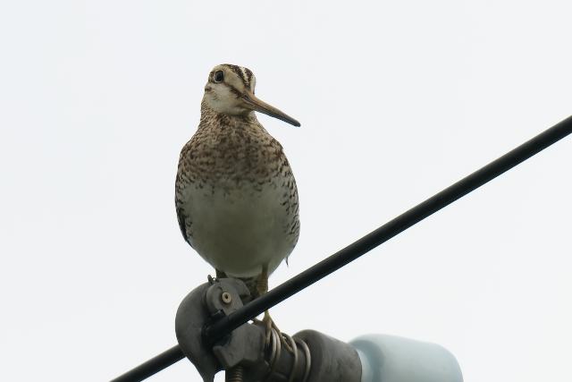 �I�I�W�V�M