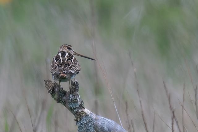 �I�I�W�V�M