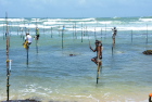 スリランカの伝統釣法